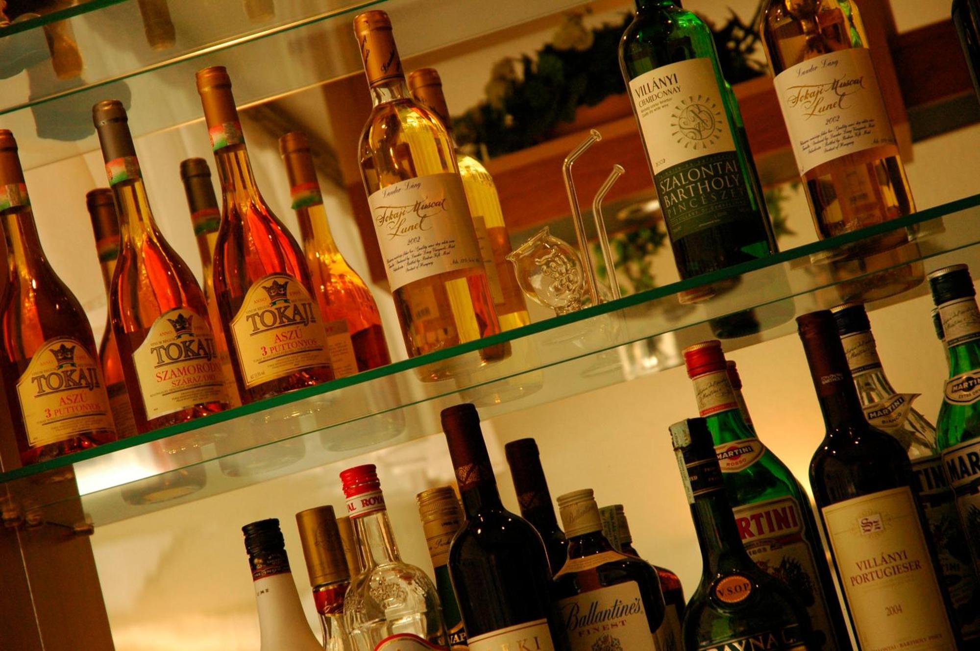 猎户座城堡花园酒店 布达佩斯 外观 照片